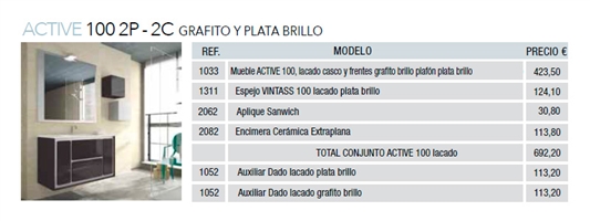 ACTIVE 100 2P - 2C GRAFITO Y PLATA BRILLO